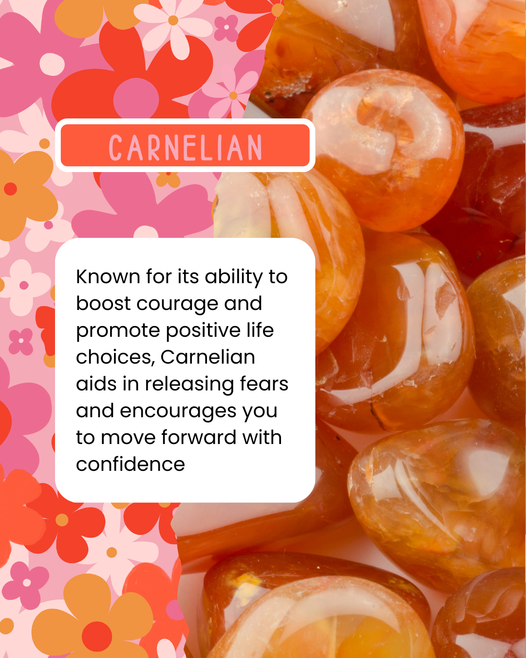 Carnelian stones with a colorful floral background and text about its properties.