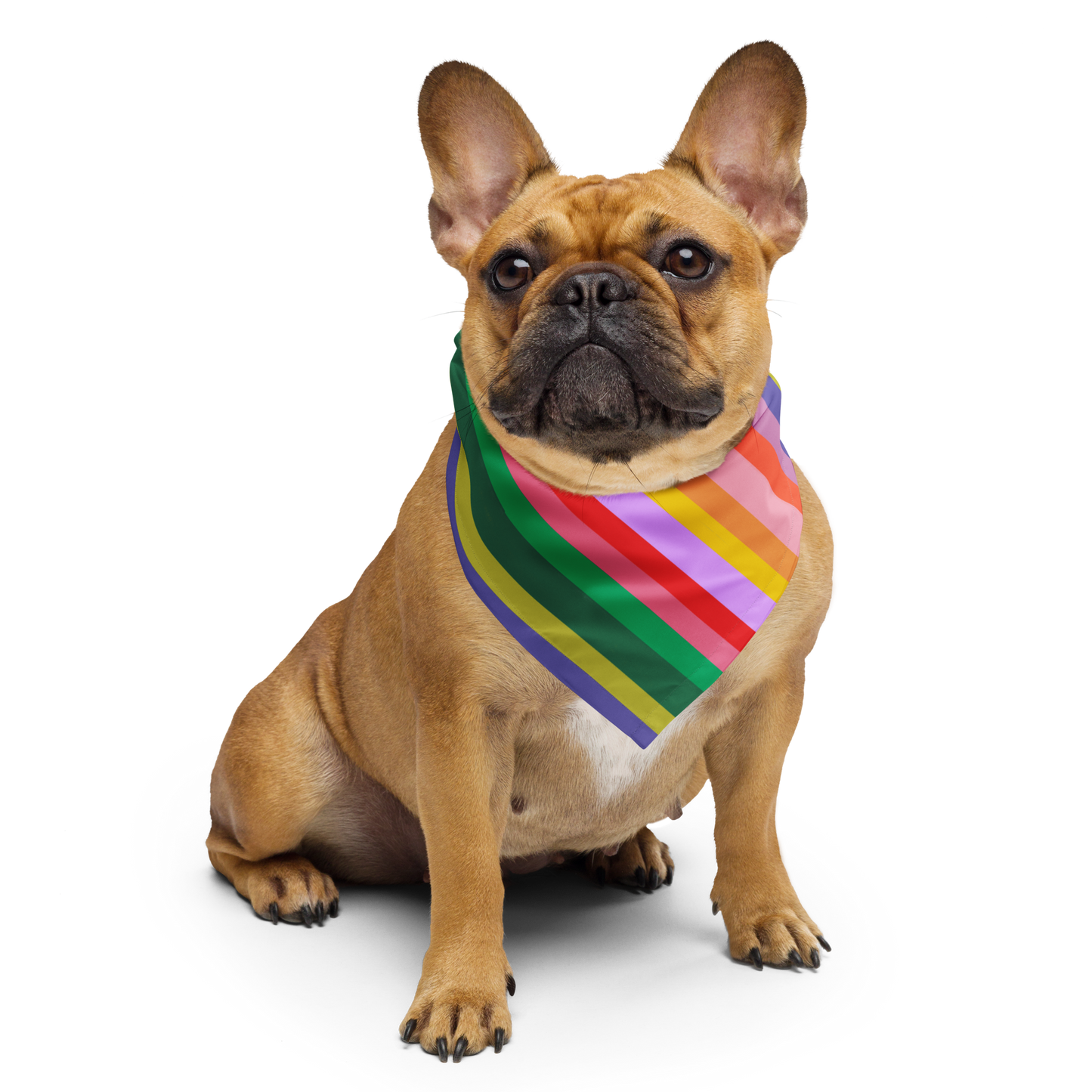 Rainbow bandana