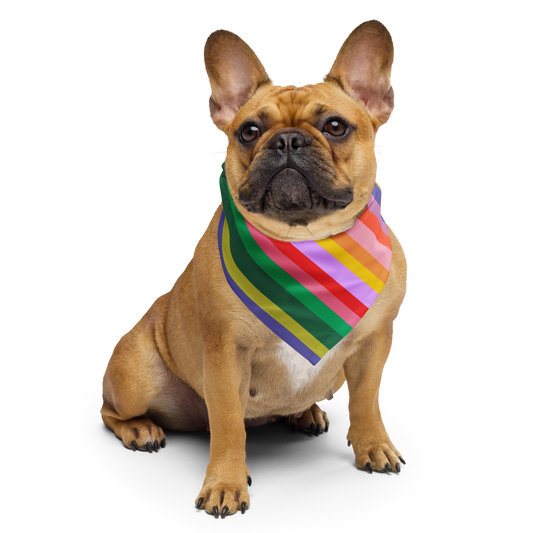 Rainbow bandana
