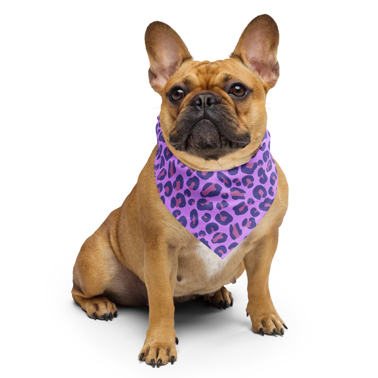 Oracle Bandana